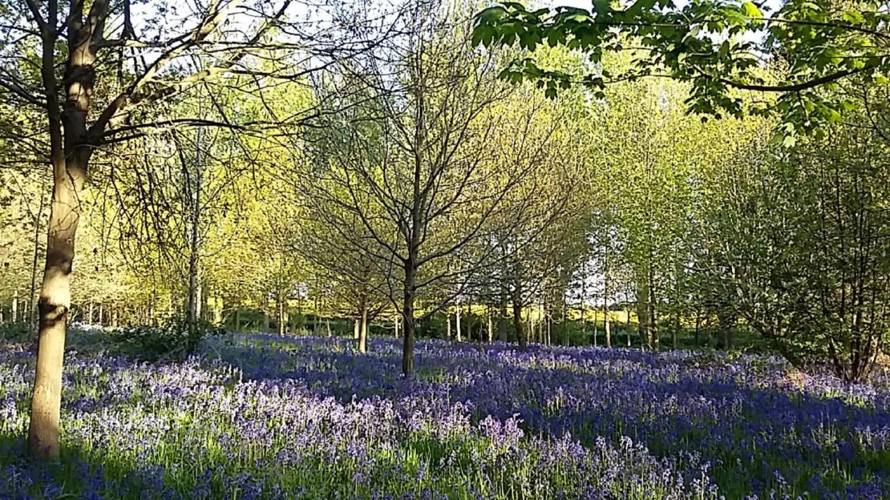 Hollicarrs - Long Lane Lodge York Zewnętrze zdjęcie